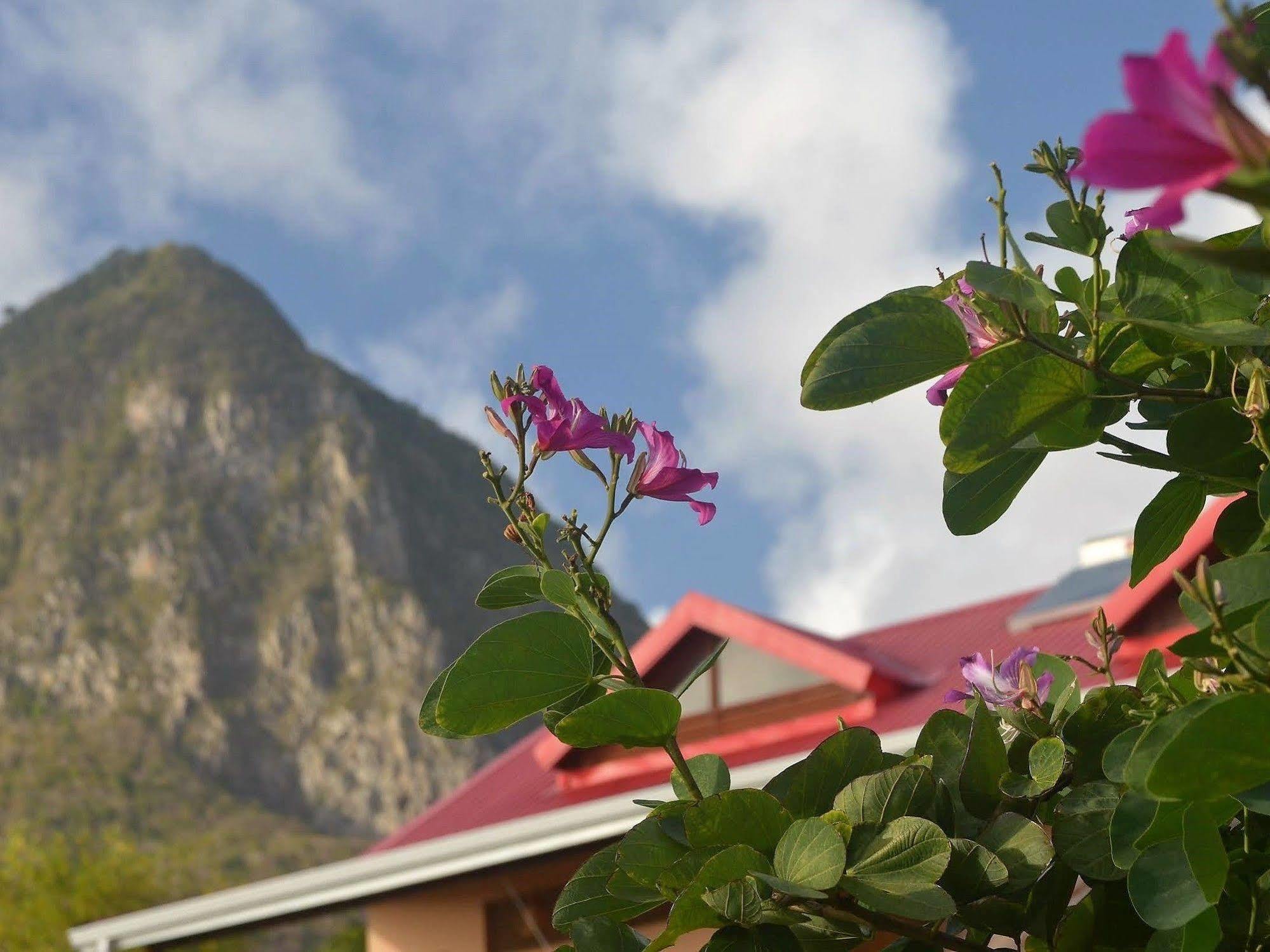 Tet Rouge Resort Soufriere Exterior photo